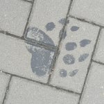 phoca_thumb_m_vp 2.den 77 Fotogalerie